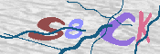 CAPTCHA изображение