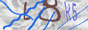 CAPTCHA изображение