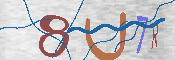 CAPTCHA изображение