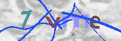 CAPTCHA изображение