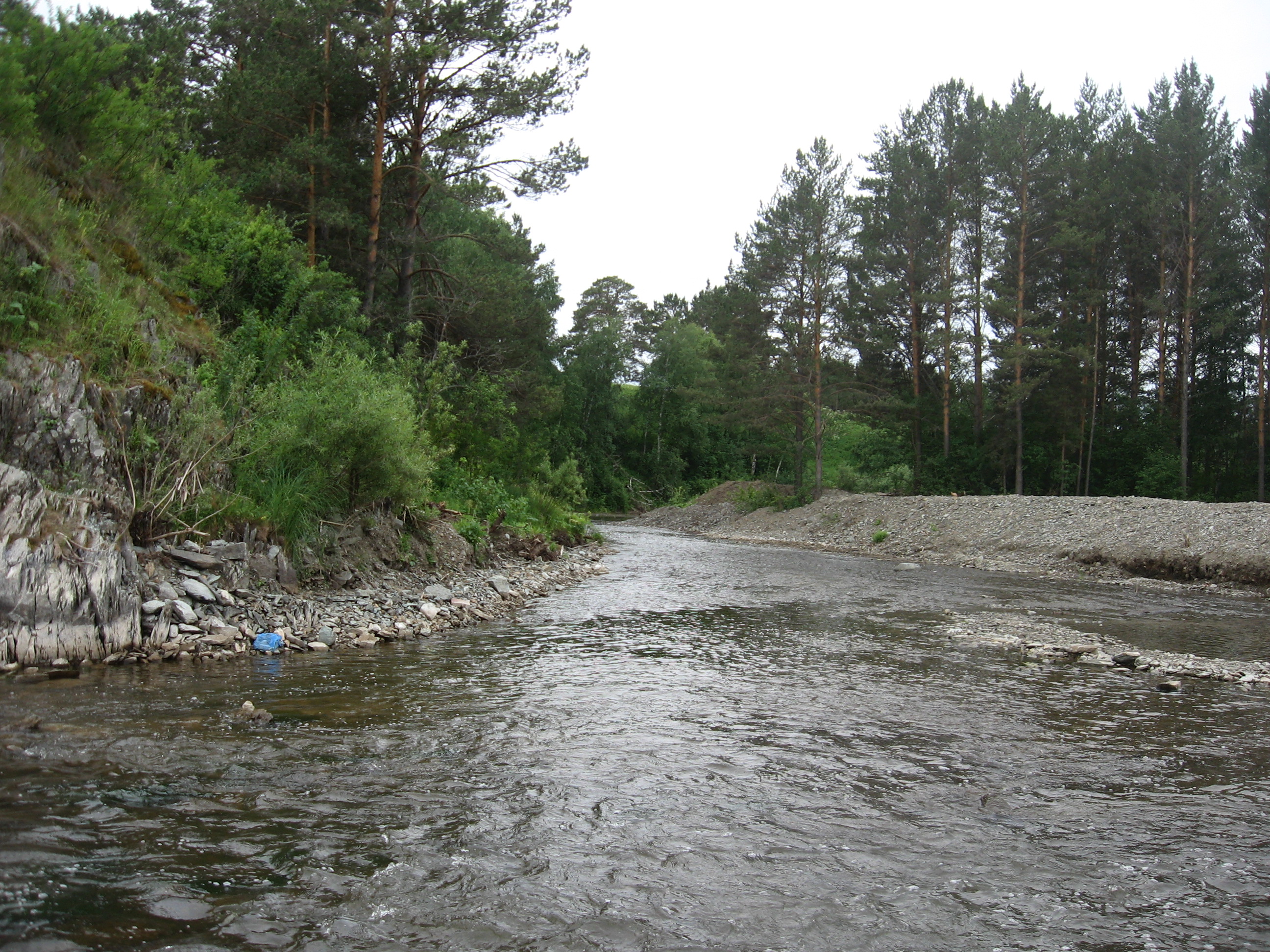 Река Борнай Тогучинский